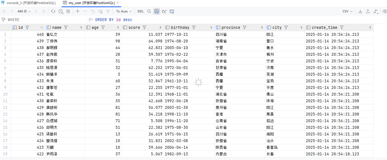 image-20250114205434028