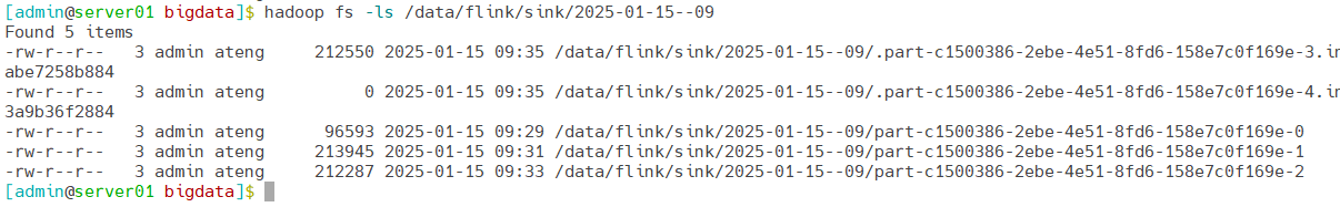 image-20250115093703501