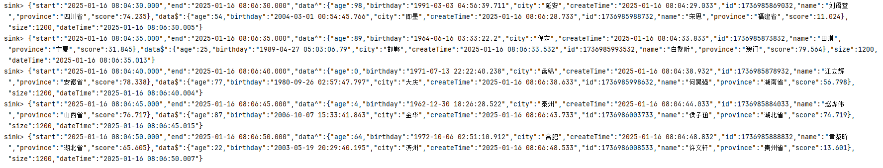 image-20250116080706492