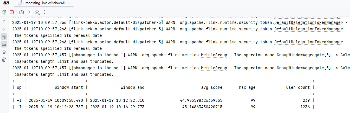image-20250119101717048