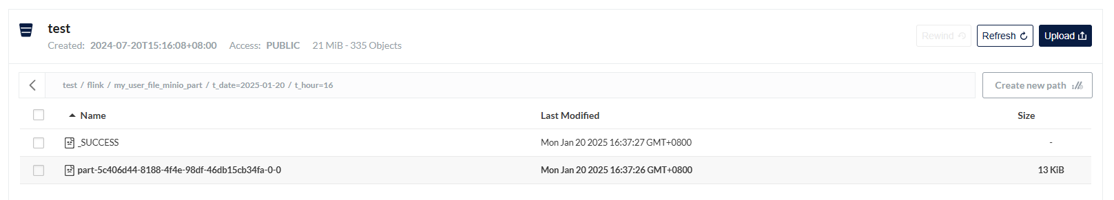 image-20250120163809293