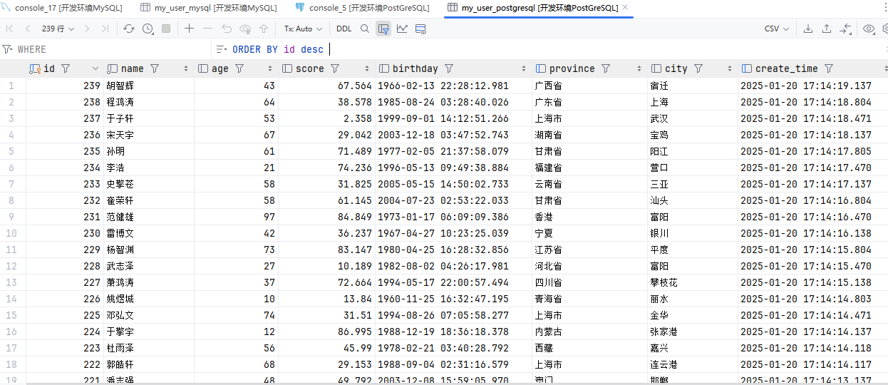 image-20250120171430982