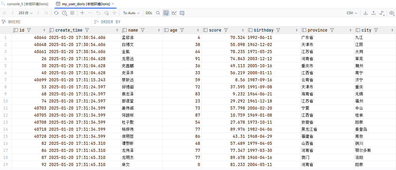 image-20250120173246289