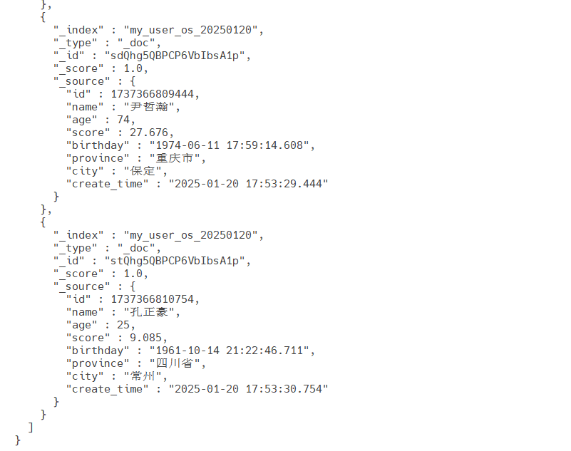 image-20250120175525224