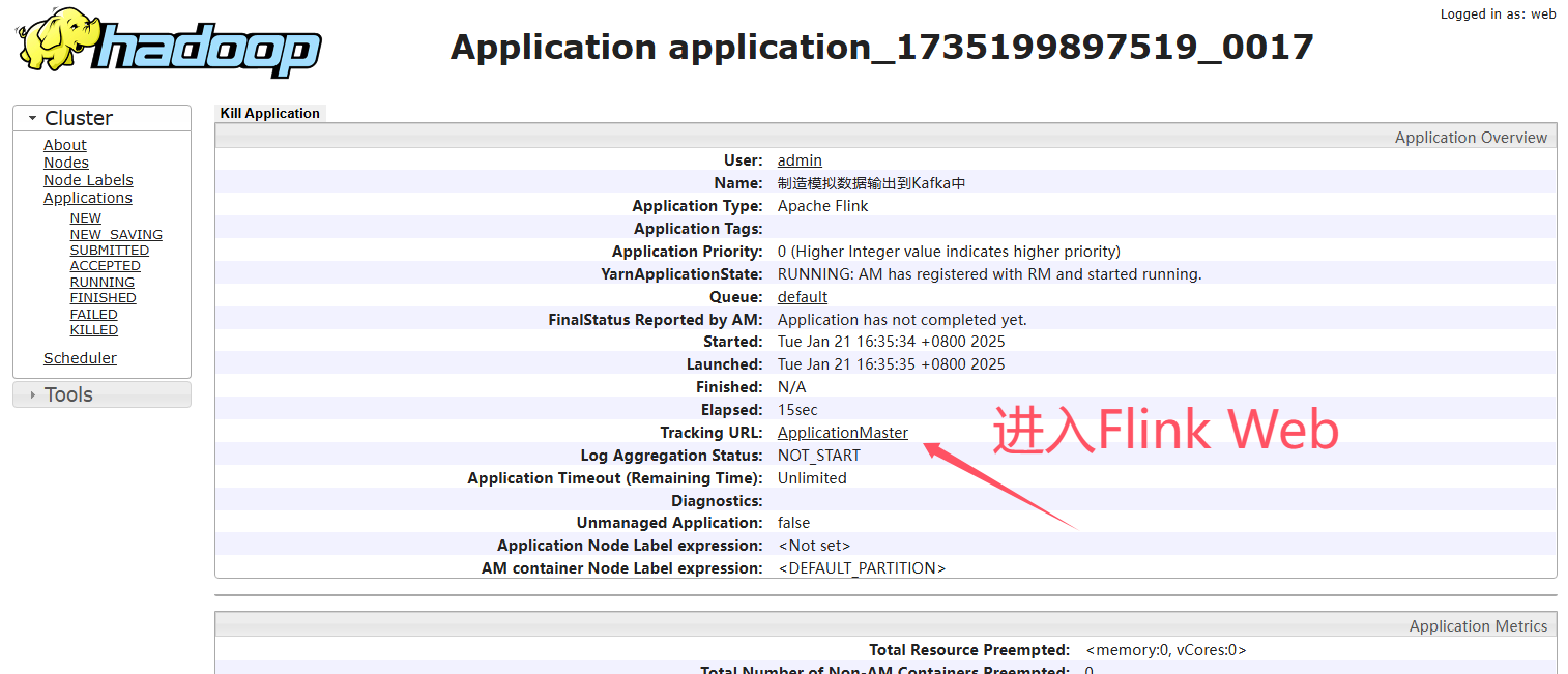 image-20250121163626289