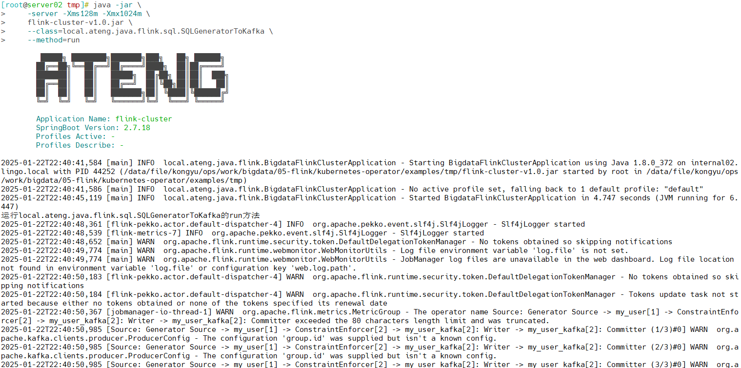 image-20250122224112796