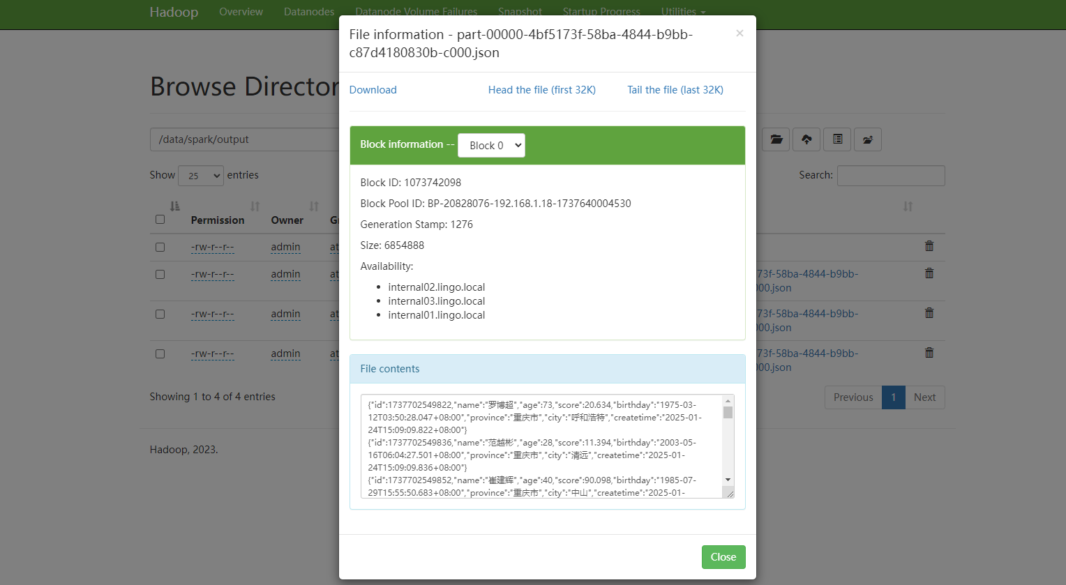 image-20250124202526377