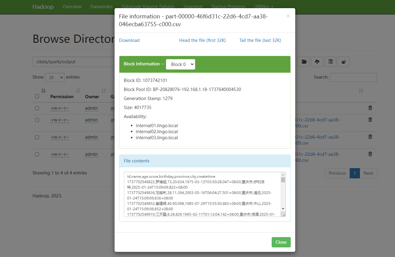 image-20250124202745270