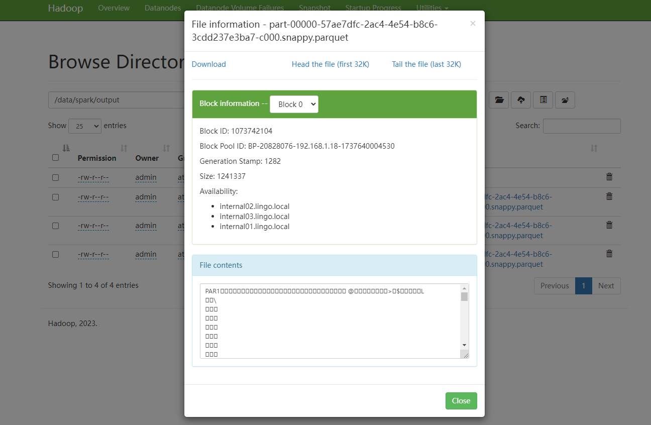 image-20250124203017352