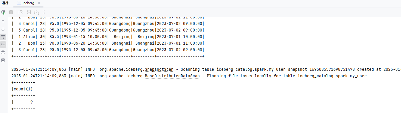 image-20250124211422817
