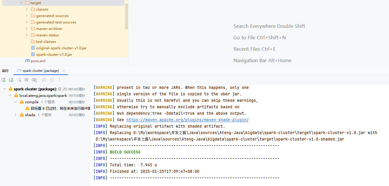 image-20250125171000086