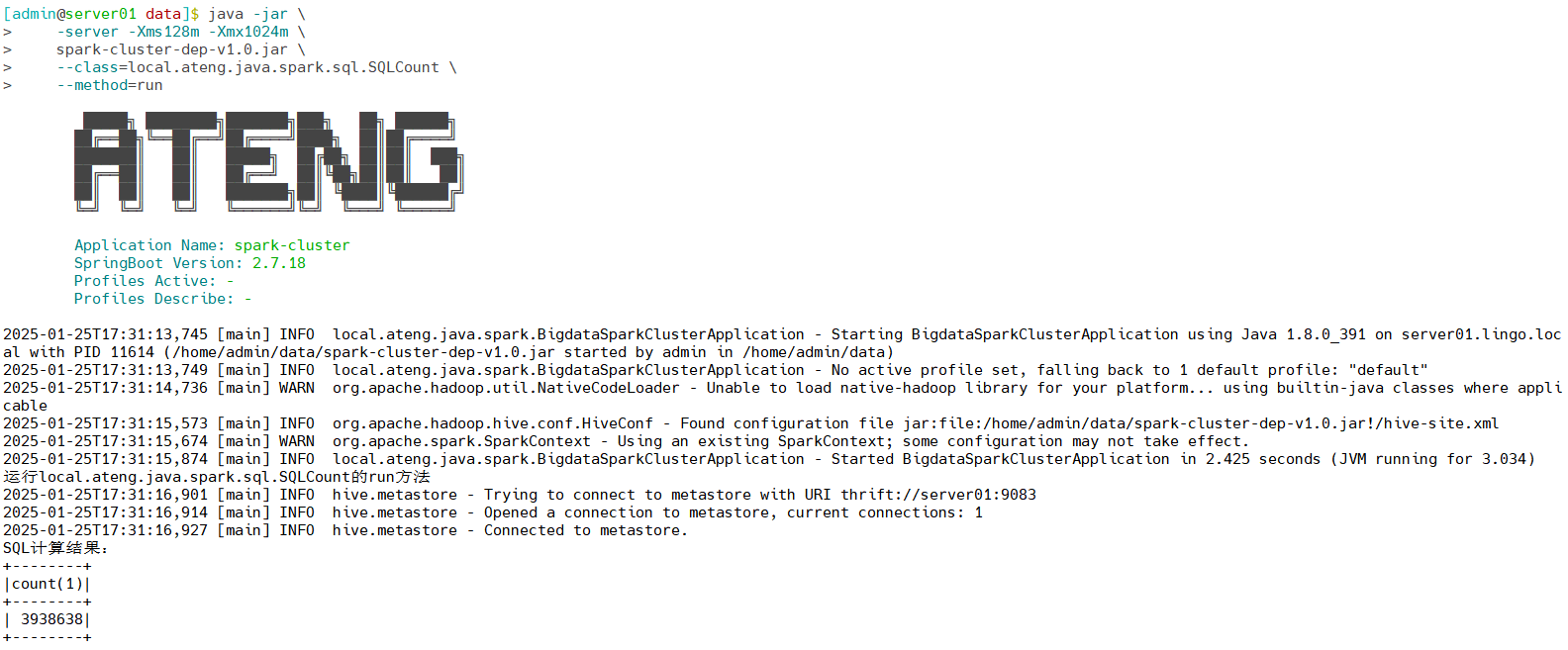 image-20250125173138945