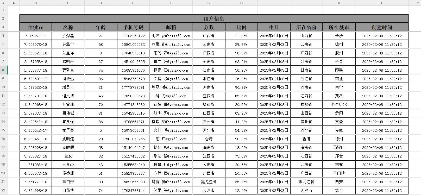 image-20250208113127900