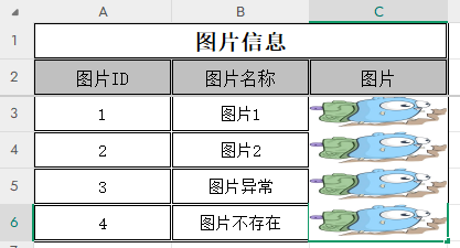 image-20250208113919375