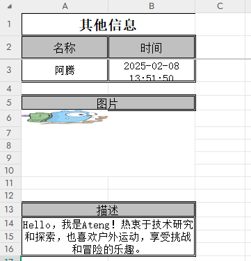 image-20250208140826708