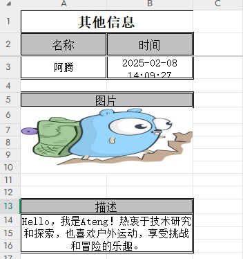 image-20250208140957294