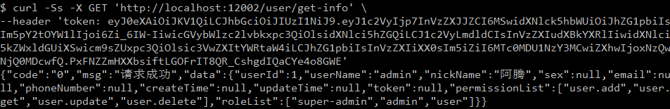 image-20250226161539653