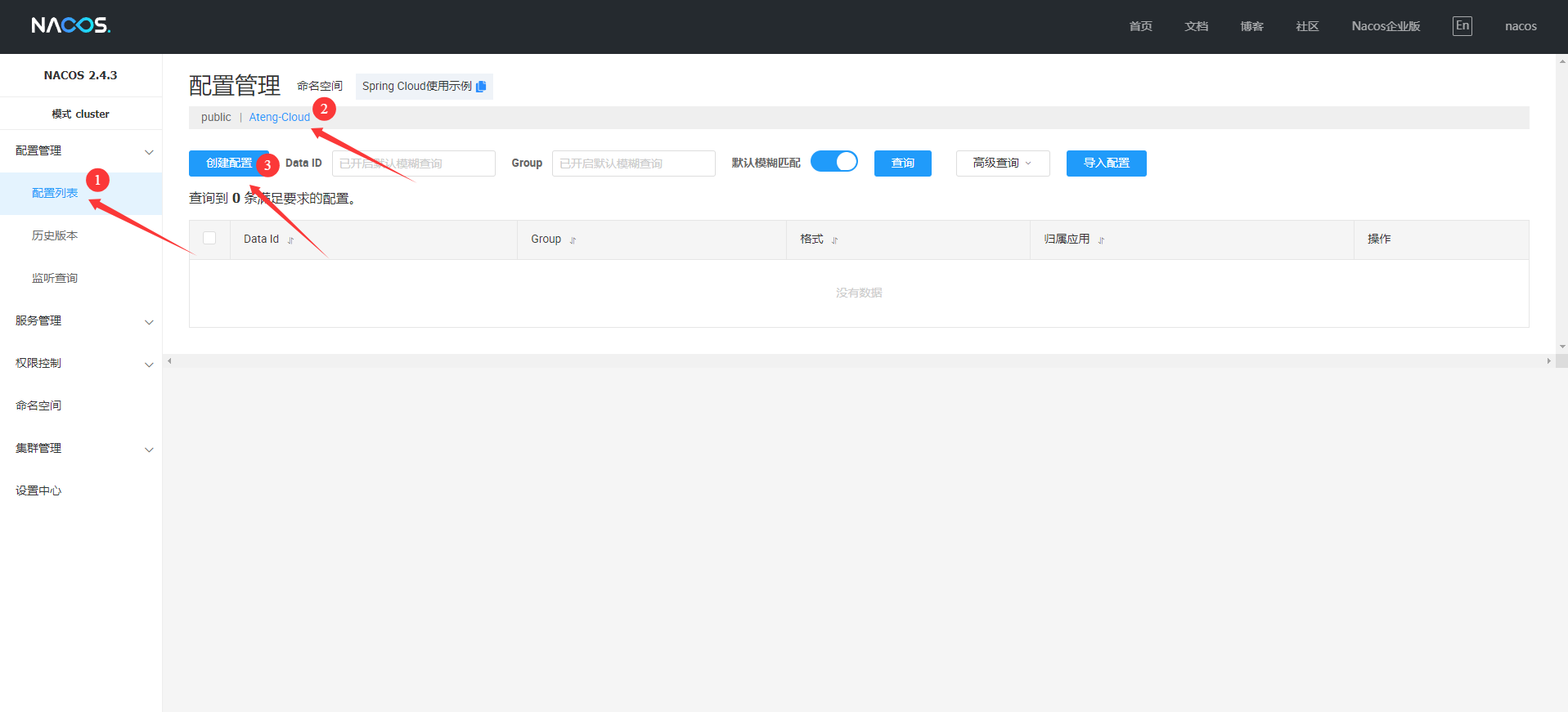 image-20250310103721498