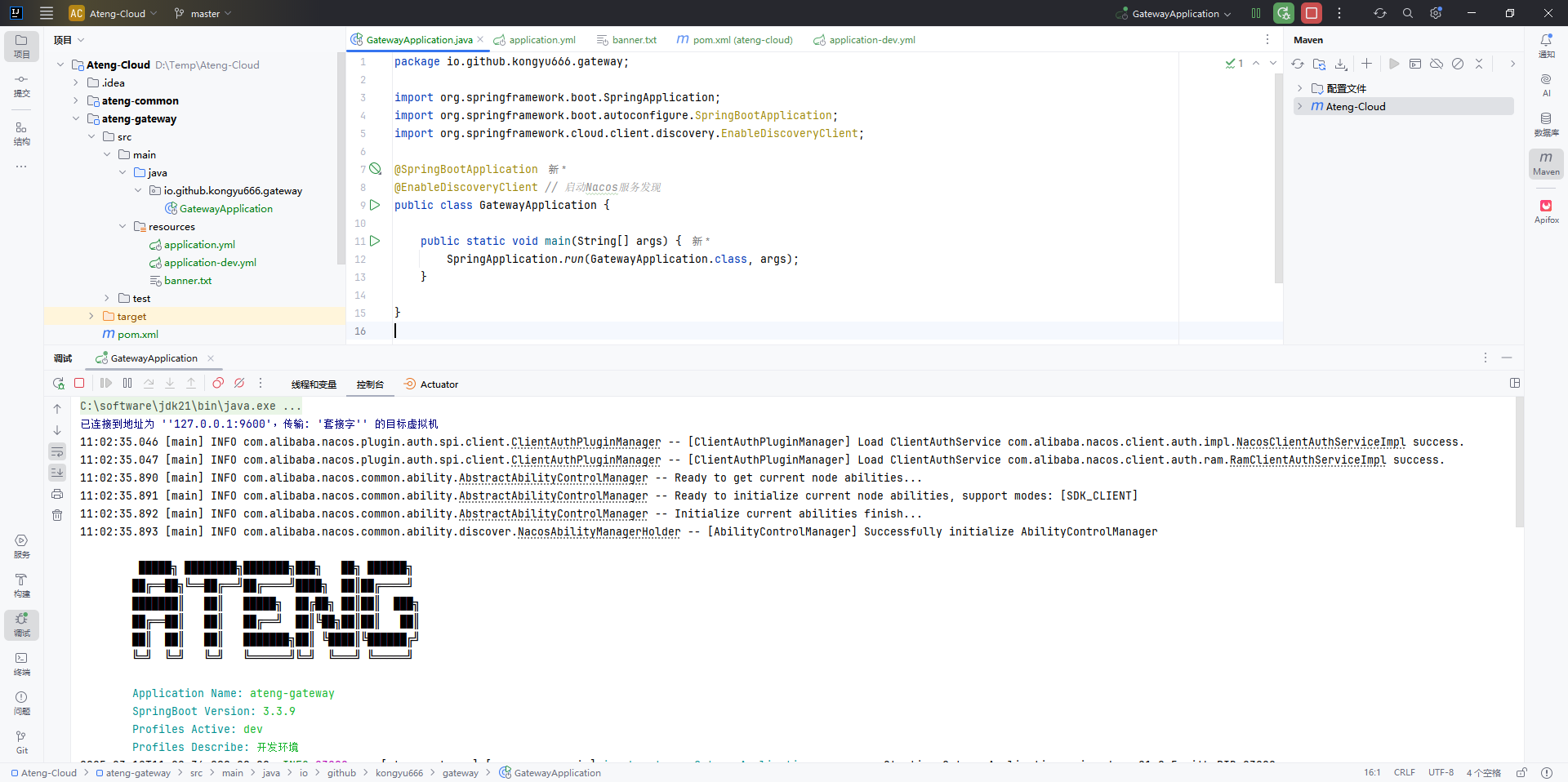 image-20250312110321010