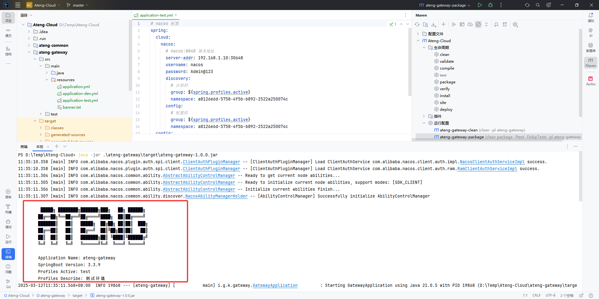 image-20250312113536025