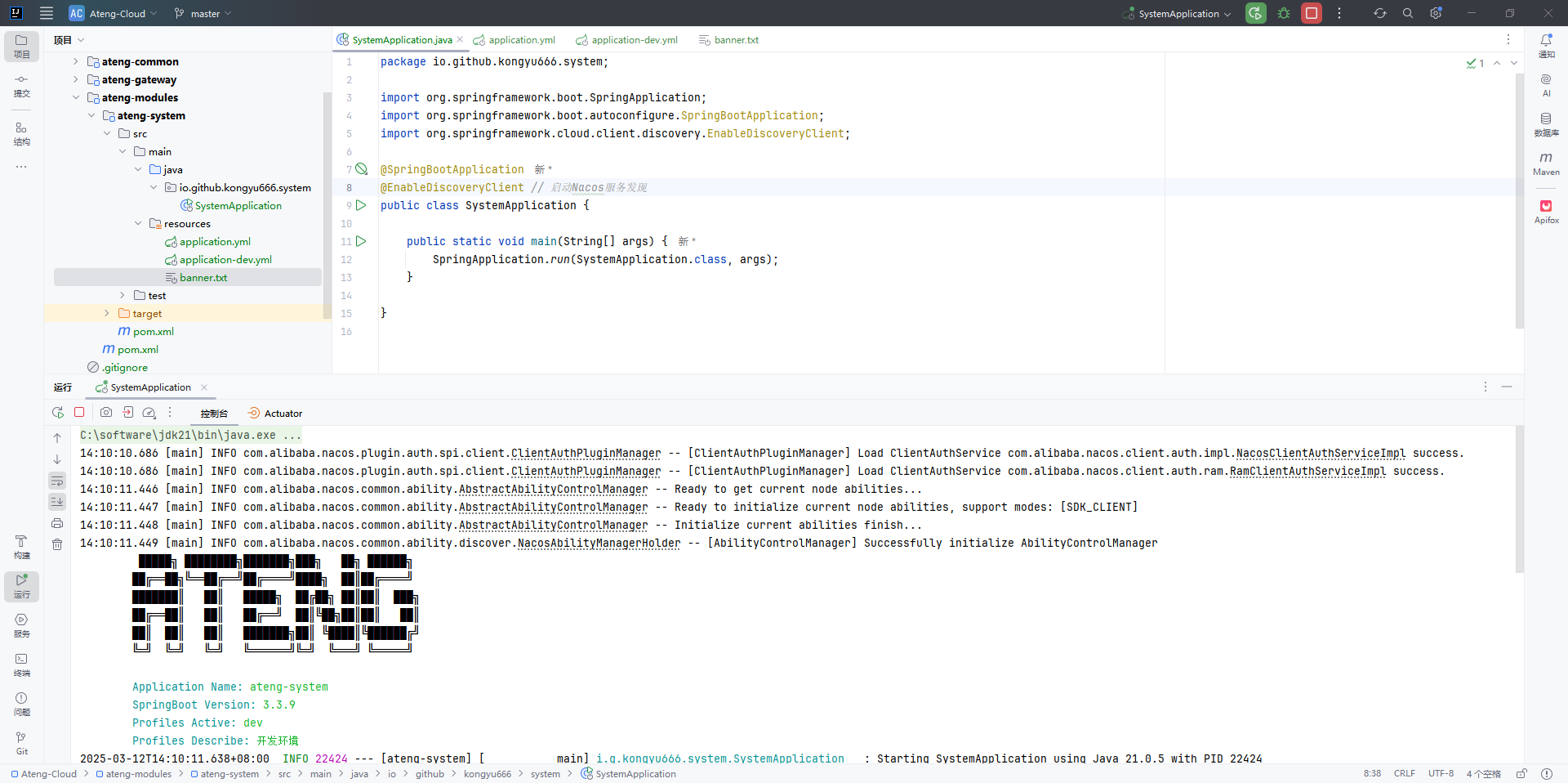 image-20250312141045164