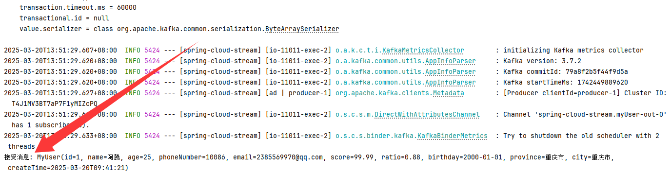 image-20250320135144863