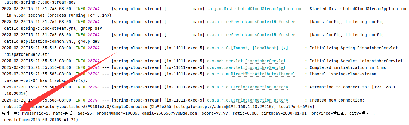 image-20250320152150417