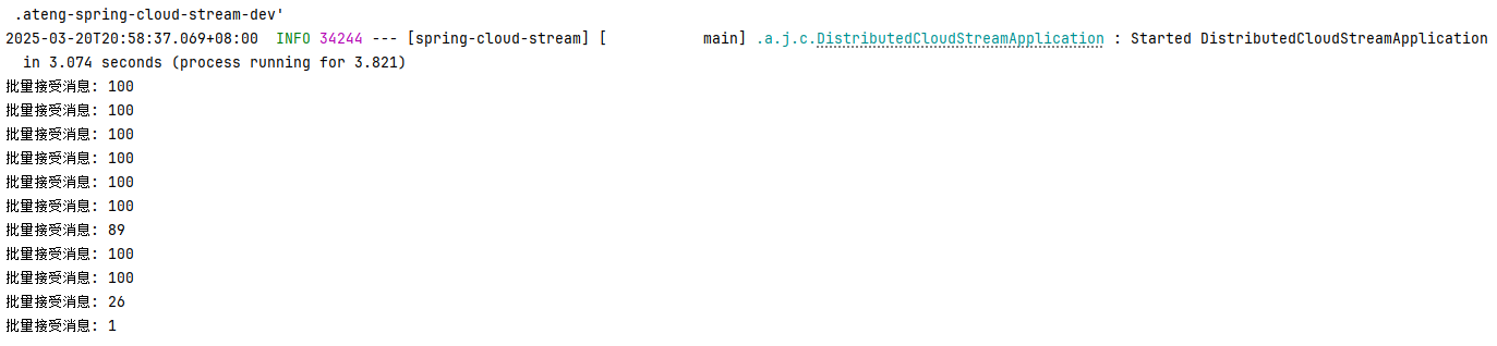 image-20250320211651735