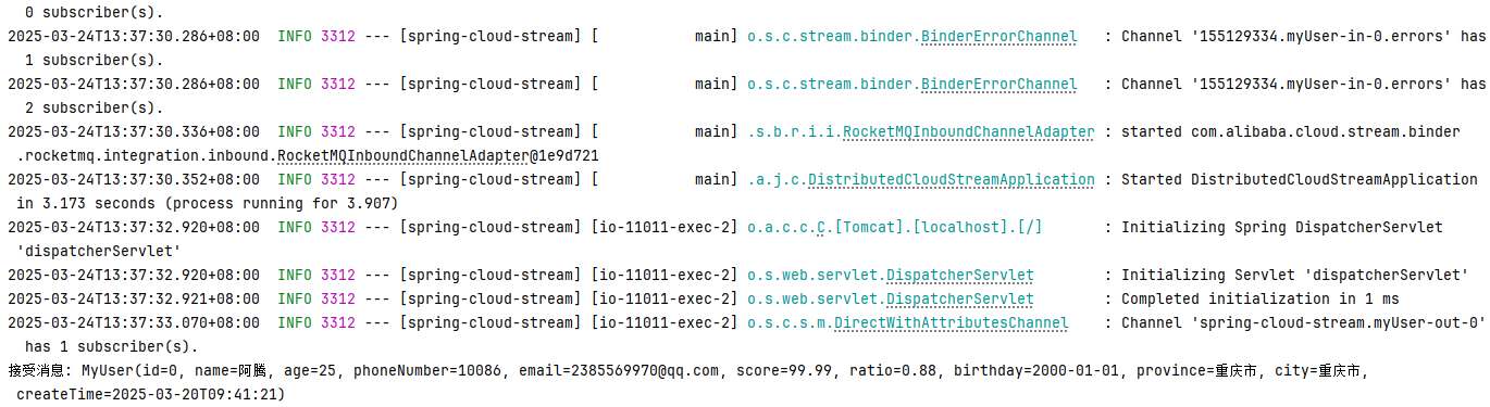 image-20250324133837511