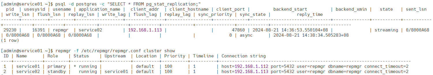 image-20240821144124892